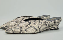 Mules roccia