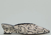 Mules roccia